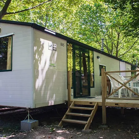 Pelso Альшоэрш