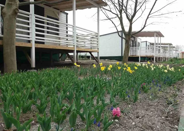 Pelso Camping * Alsóörs